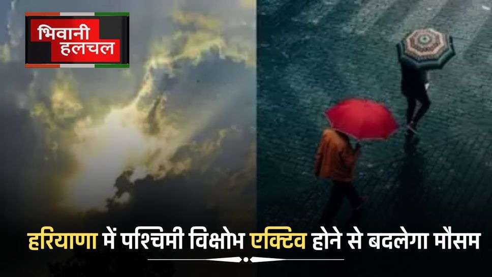 Haryana Weather Update: हरियाणा में पश्चिमी विक्षोभ एक्टिव होने से बदलेगा मौसम, जानिए आज कैसा रहेगा मौसम?