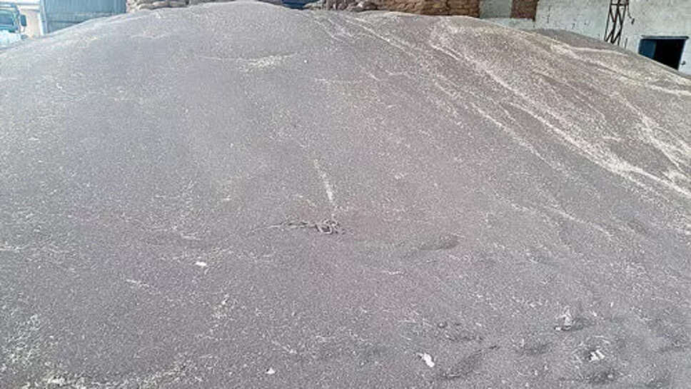 चोरों के निशाने पर महंगी सरसों, बालावास से ले गए 95 कट्टे सरसों