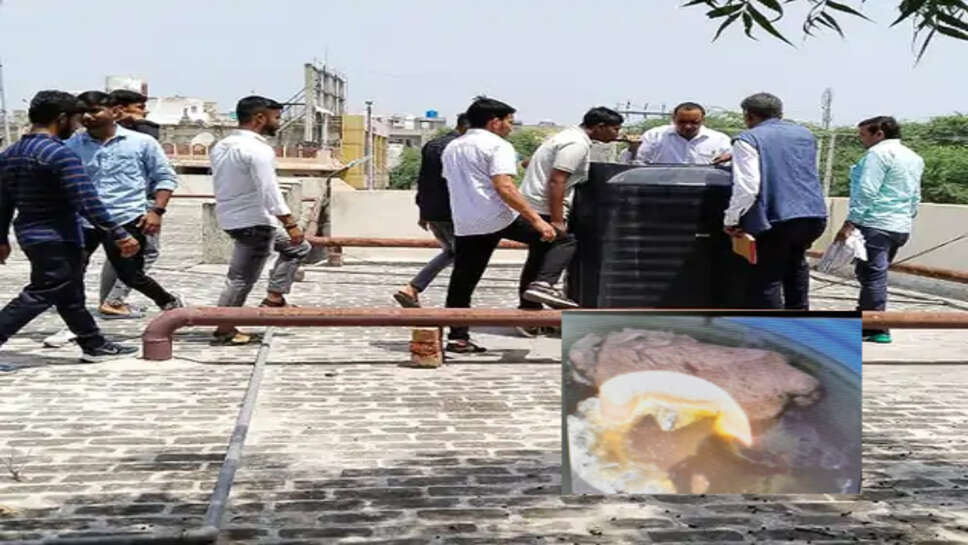 मच्छर का लारवा जांच करने गई टीम को टंकी में मिला मरा हुआ बंदर