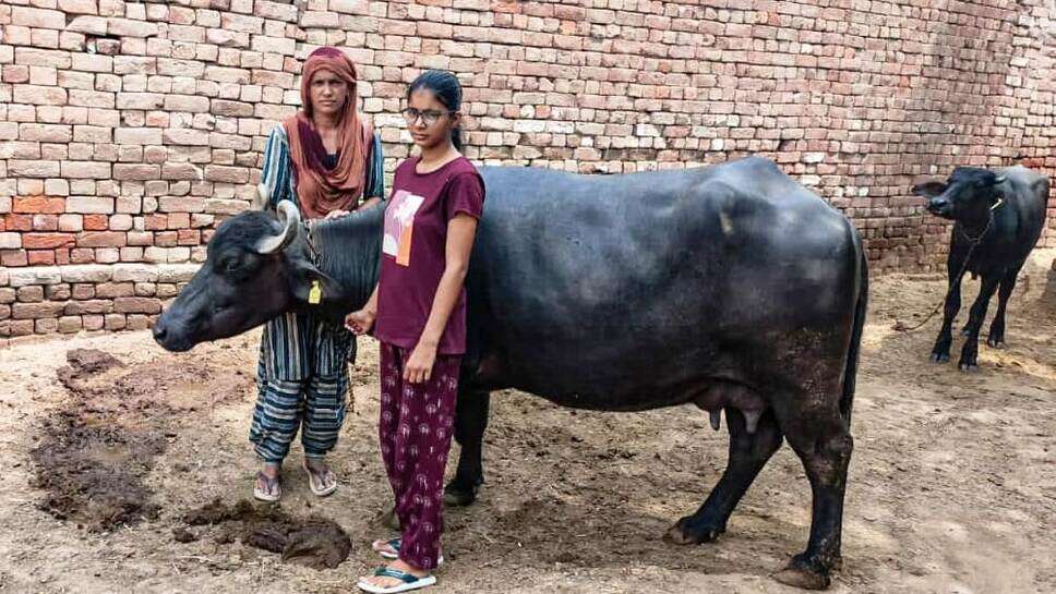 भिवानी: छात्रा मोनिका के लिए संकट मोचक बनी मुख्यमंत्री अंत्योदय परिवार उत्थान योजना