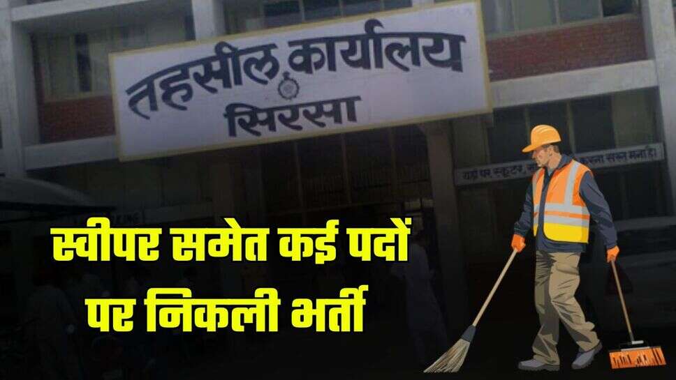 Sirsa Court Jobs: जिला न्यायालय सिरसा में निकली कई पदों पर भर्ती, फटाफट करें आवेदन