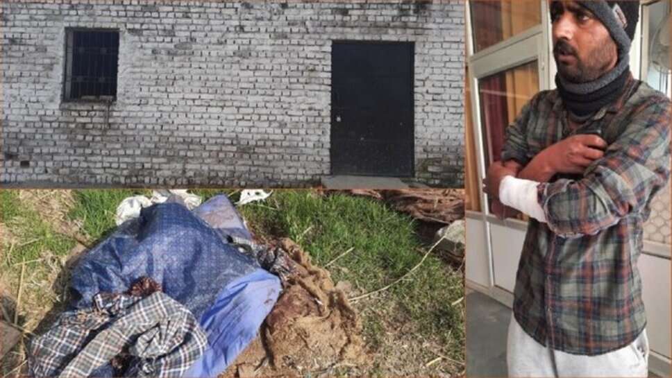 पिटबुल नस्ल के कुत्तों ने अपने मालिक को ही नोचकर मार डाला, बचाने आए युवकों को भी काटा