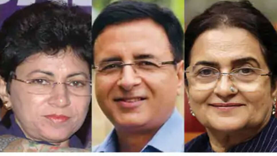 हरियाणा कांग्रेस संगठन में फिर देरी:CWC मीटिंग के बाद होगा ऐलान