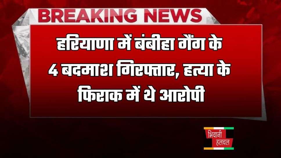 Haryana news : हरियाणा में बंबीहा गैंग के 4 बदमाश गिरफ्तार, हत्या के फिराक में थे आरोपी