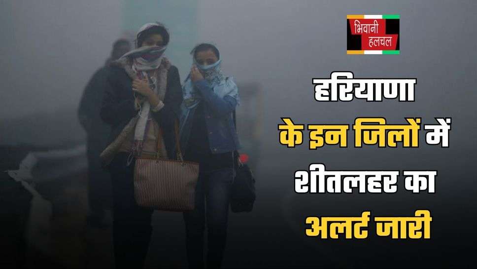 Haryana Weather Update: हरियाणा के इन जिलों में शीतलहर का अलर्ट जारी, जानें मौसम विभाग का अपडेट 