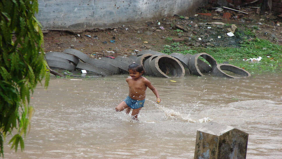 हरियाणा के 7 जिलों में मूसलाधार बारिश का अलर्ट