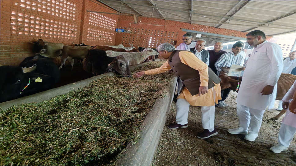 गोवंश के संरक्षण एवं संवर्धन के लिए सरकार वचनबद्ध: कृषि मंत्री जेपी दलाल
