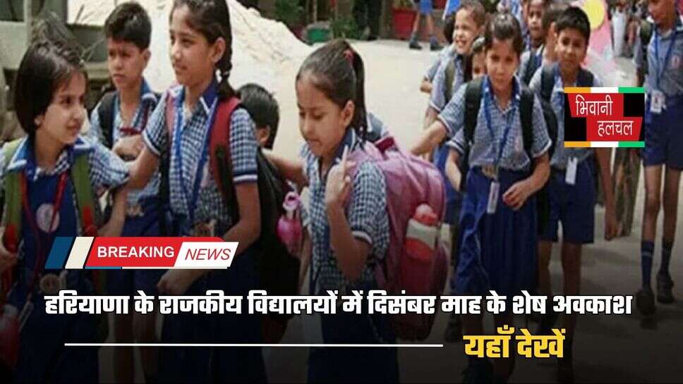 Haryana news : हरियाणा के राजकीय विद्यालयों में दिसंबर माह के शेष अवकाश, यहाँ देखें