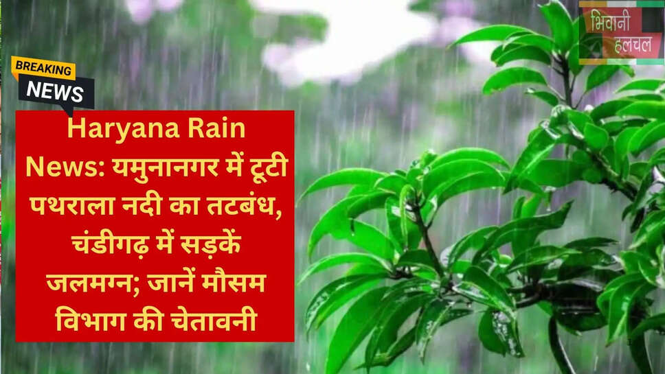 चंडीगढ़ बारिश वॉटरलॉगिंग
