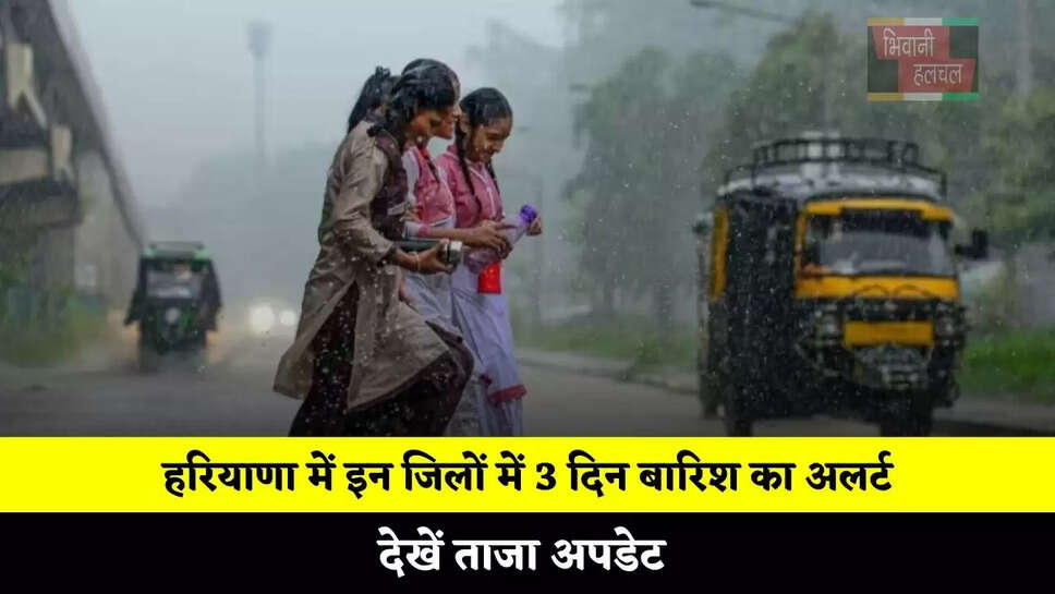हरियाणा में इन जिलों में 3 दिन बारिश का अलर्ट, देखें ताजा अपडेट&nbsp;