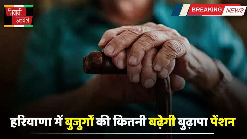 Haryana: हरियाणा में बुजुर्गों की कितनी बढ़ेगी बुढ़ापा पेंशन, सेवा विभाग ने रखी इतनी बढ़ोतरी की मांग ?&nbsp;
