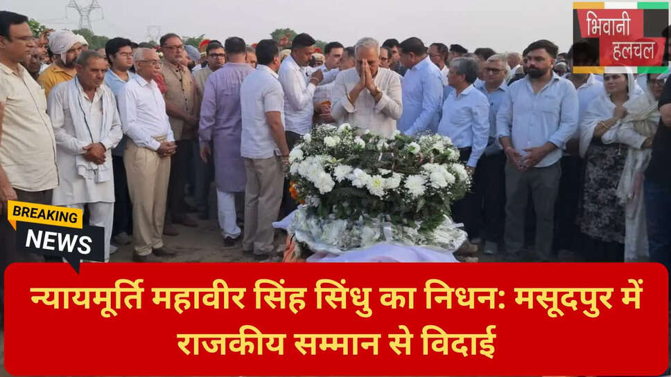 महावीर सिंह सिंधु का जीवन परिचय