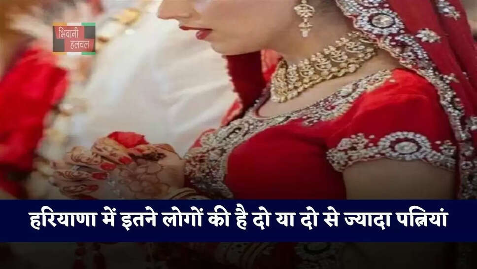 हरियाणा में इतने लोगों की है&nbsp;दो या दो से ज्यादा पत्नियां, फैमिली ID से हुआ बड़ा खुलासा