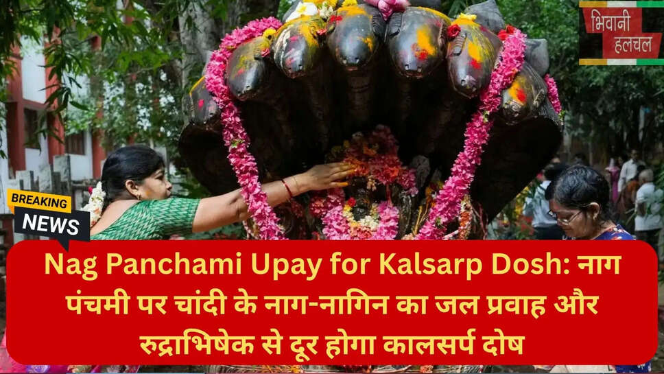 नाग पंचमी पूजा विधि और दान