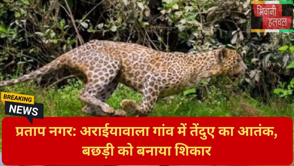 प्रताप नगर समाचार
