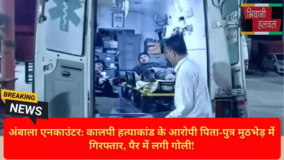 Buffalo Theft and Murder Ambala