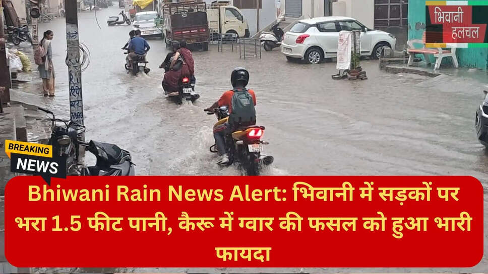 मूलचंद जोहड़ झील भिवानी