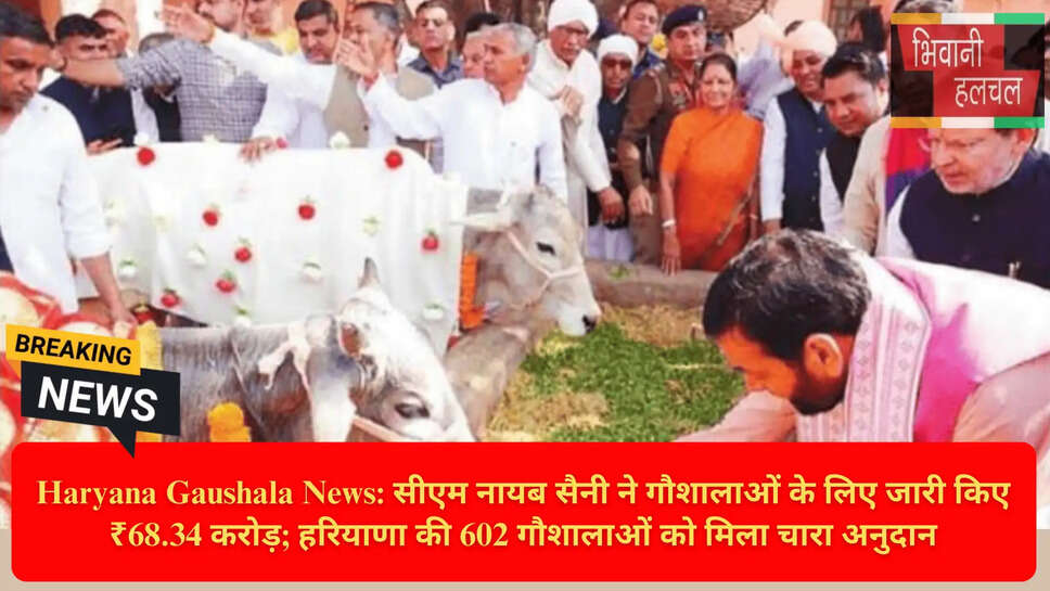 स्वामी ज्ञानानंद महाराज