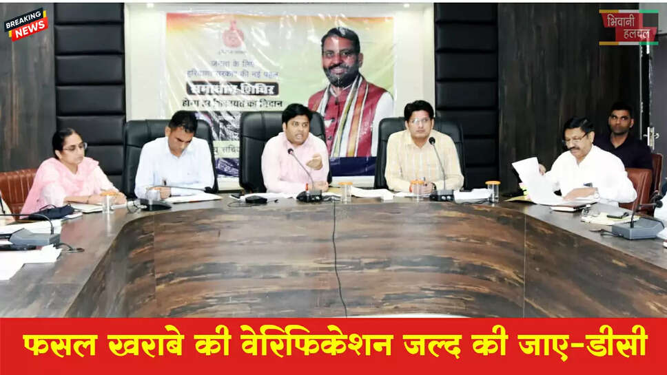 फसल खराबे की वेरिफिकेशन जल्द की जाए: डीसी
