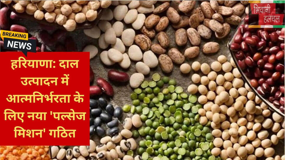 कृषि कार्ययोजना हरियाणा