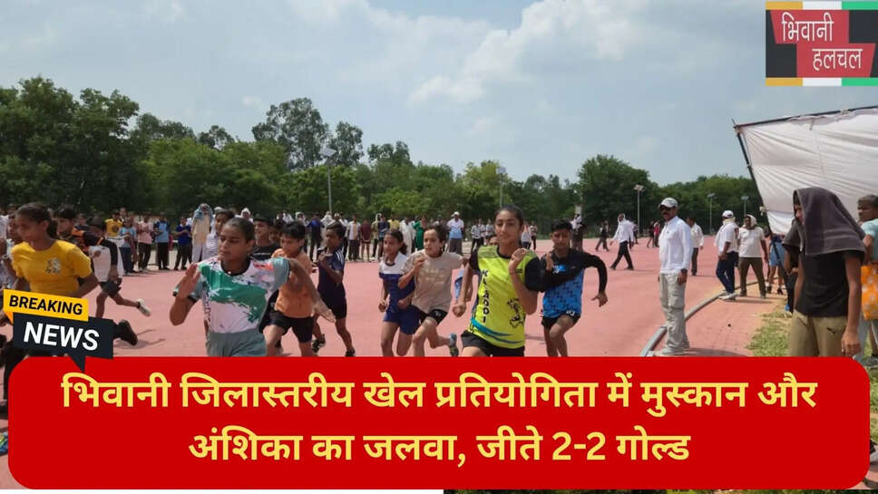 हरियाणा समाचार हिंदी