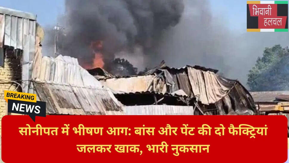 बांस की फैक्ट्री में आग