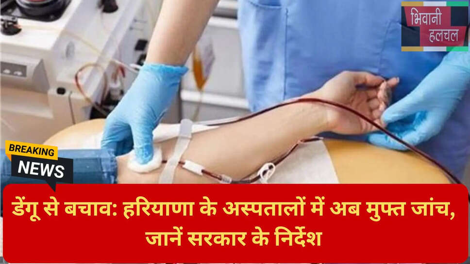 एलाइजा डेंगू टेस्ट रेट