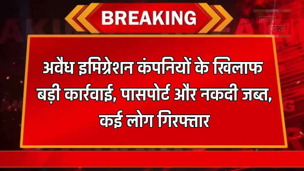 अवैध इमिग्रेशन कंपनियों के खिलाफ बड़ी कार्रवाई, पासपोर्ट और नकदी जब्त, कई लोग गिरफ्तार