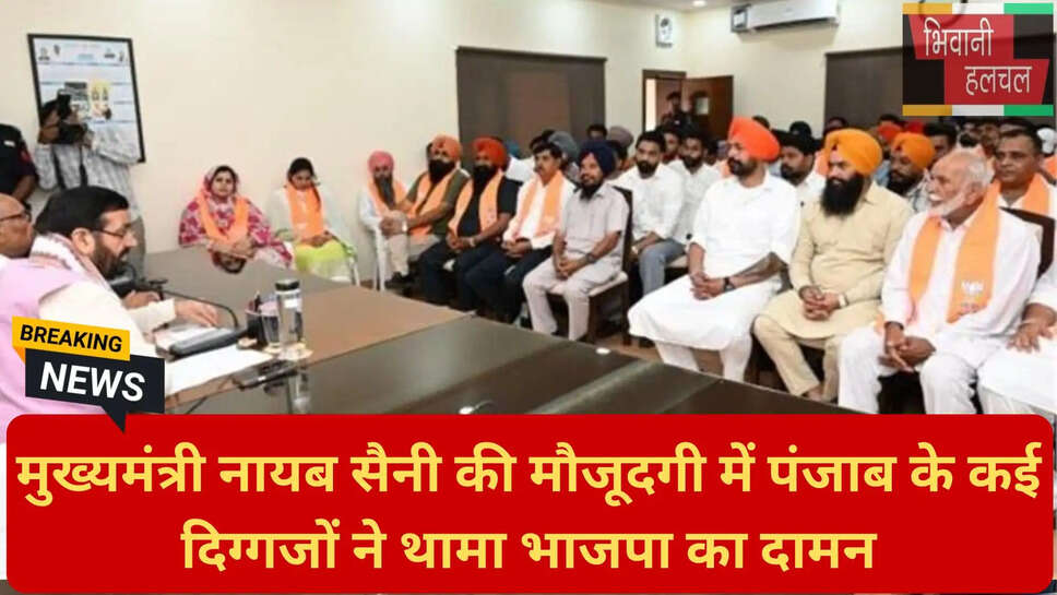 अमनदीप कंबोज भाजपा
