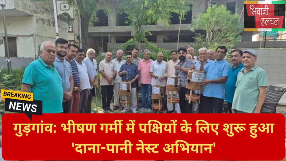 बेजुबान जीवों के लिए सेवा