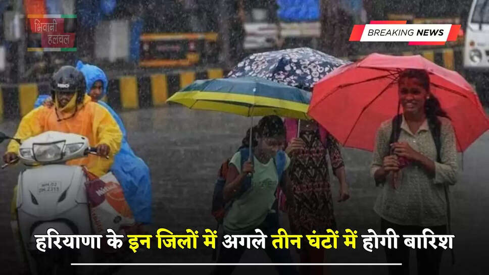 हरियाणा के इन जिलों में&nbsp;अगले तीन घंटों में होगी बारिश,&nbsp;देखें ताजा अपडेट&nbsp;