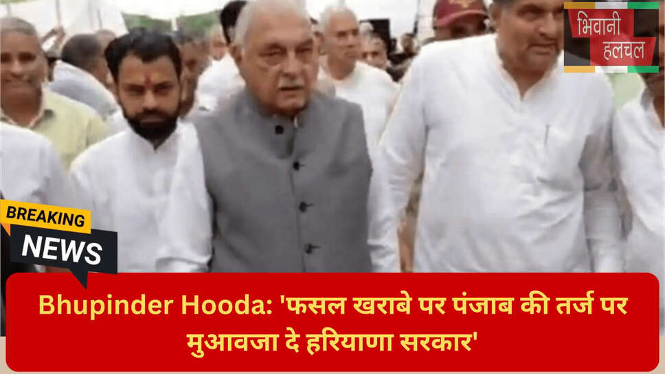 हरियाणा राजनीति समाचार