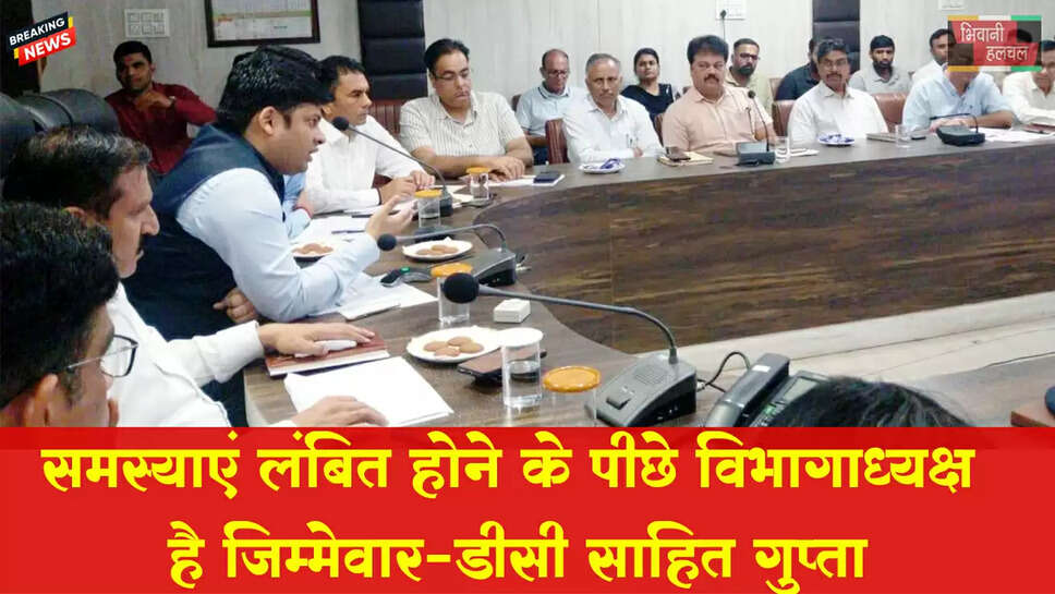समस्याएं लंबित होने के पीछे विभागाध्यक्ष हैं जिम्मेवार: डीसी&nbsp;