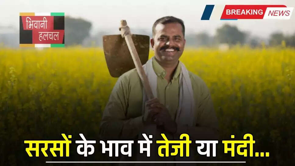 सरसों के भाव में तेजी या मंदी, देखें सभी मंडियों में आज का ताजा भाव