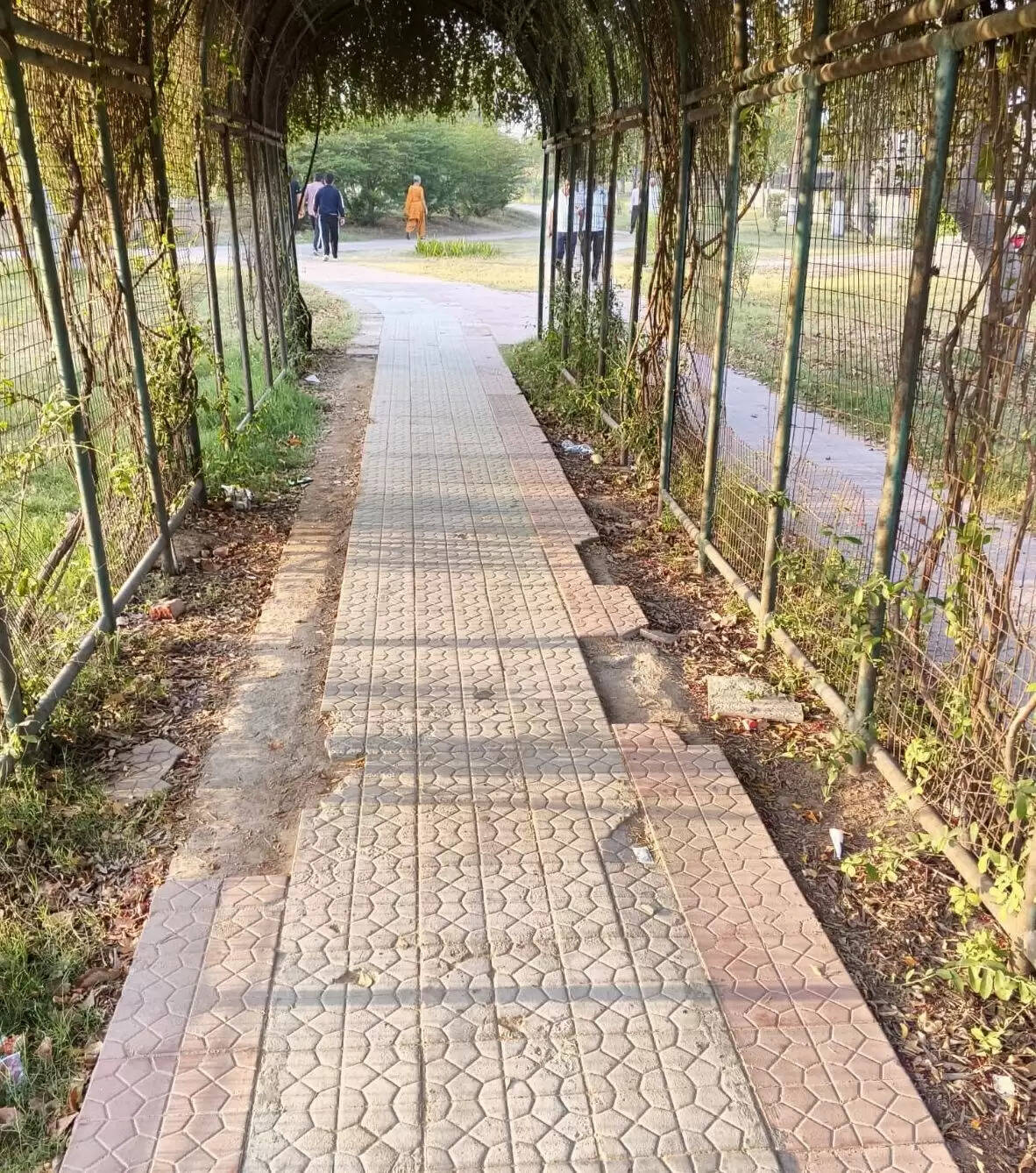 भिवानी न्यूज़ अपडेट