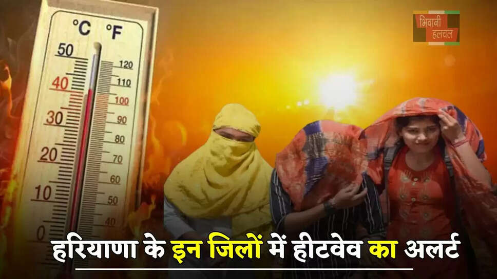 हरियाणा के इन&nbsp;जिलों में हीटवेव का अलर्ट, जाने कब मिलेगी राहत ?