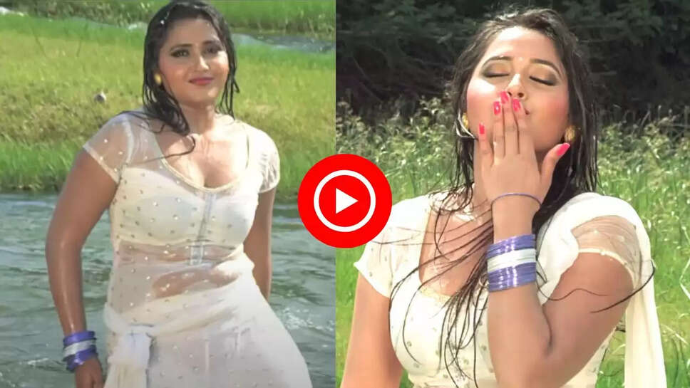 &lsquo;चप्पा चप्पा चाचा जान करा ना जिया&rsquo; गाने पर काजल संग निरहुआ का जबरदस्त डांस, वीडियो देख लोग हुए दीवाने&nbsp;