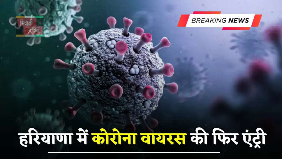 हरियाणा में कोरोना वायरस की फिर एंट्री, इन जिलों में मामले आए सामने&nbsp;