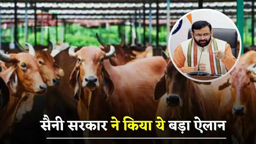 हरियाणा में देशी गाय पालने पर मिलने वाली राशि में हुई बढ़ोतरी, सैनी सरकार ने किया ये बड़ा ऐलान