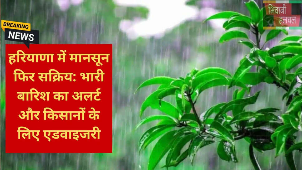 Yamunangar rain yellow alert