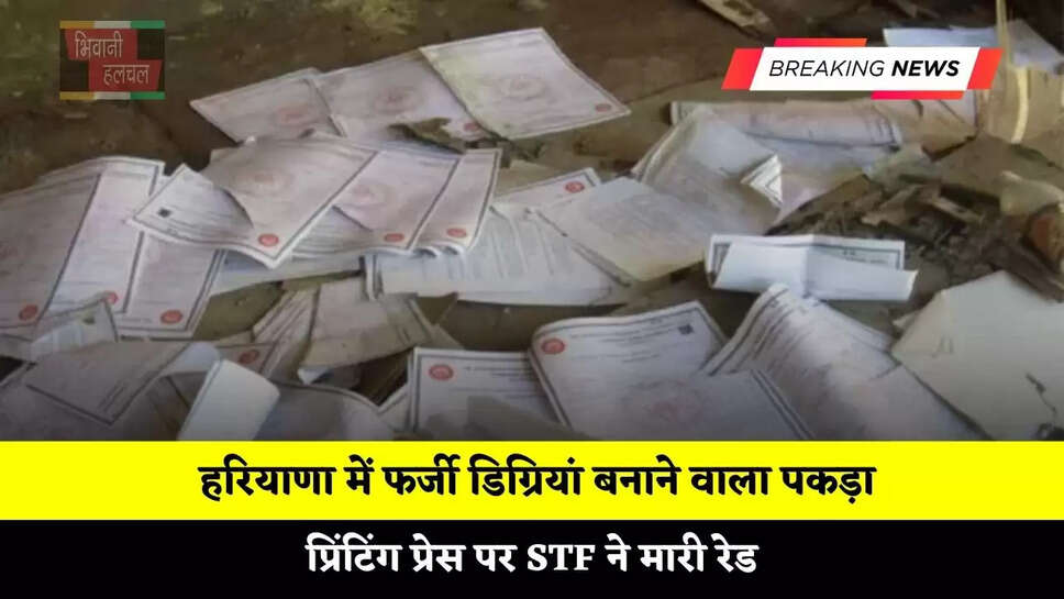  हरियाणा में फर्जी डिग्रियां बनाने वाला पकड़ा, प्रिंटिंग प्रेस पर STF ने मारी रेड