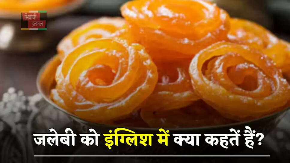 जलेबी को इंग्लिश में क्या कहतें हैं? नाम जान उड़ जाएंगे होश