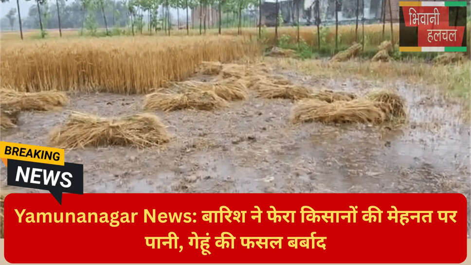 यमुनानगर लेटेस्ट न्यूज़