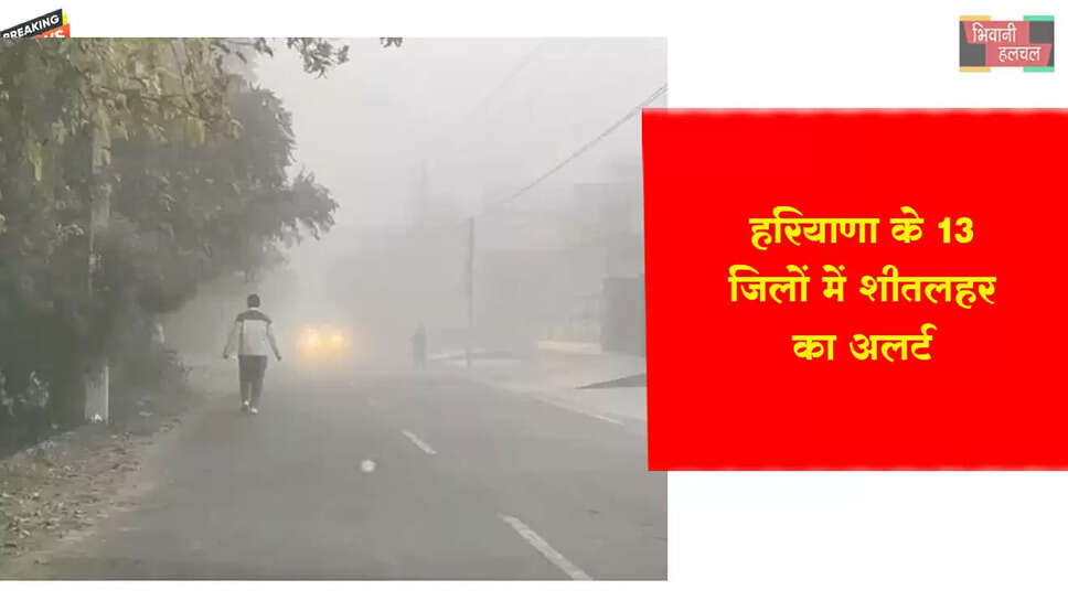 हरियाणा के 13 जिलों में शीतलहर का अलर्ट&nbsp;