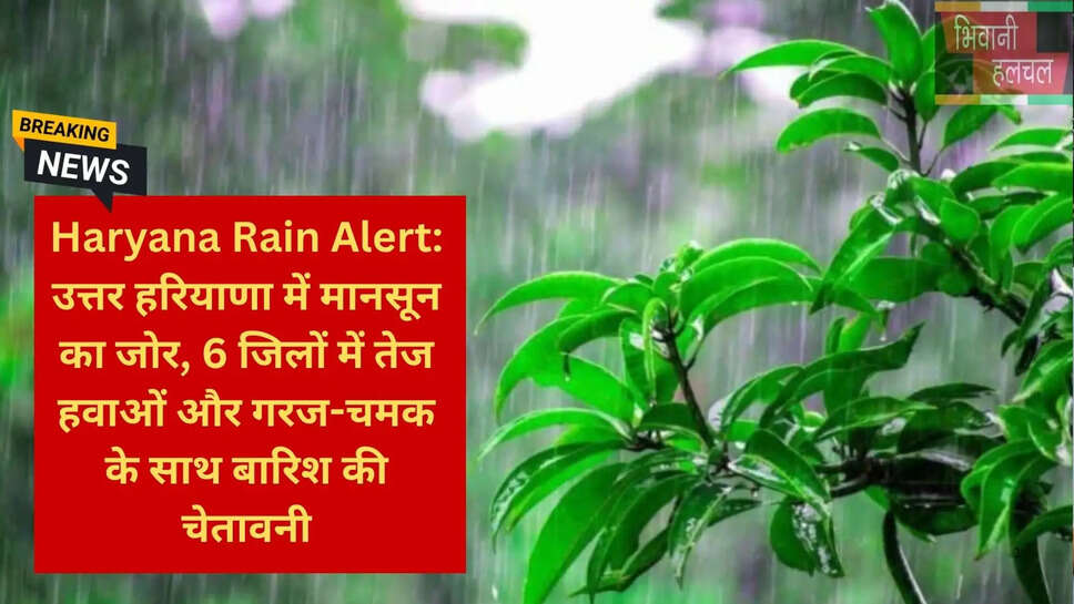 हरियाणा तापमान अपडेट