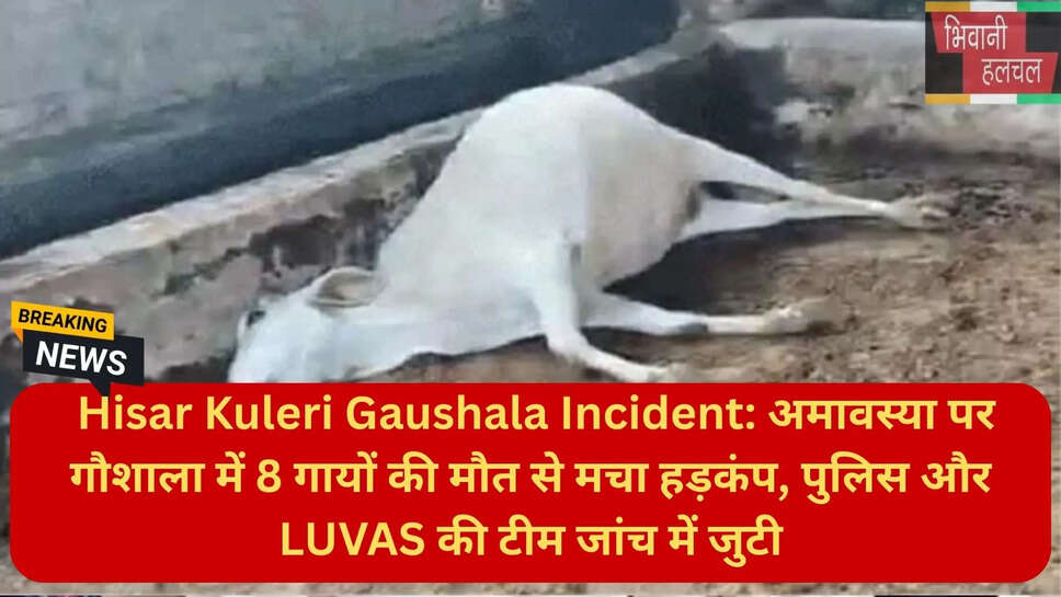 हरियाणा गौशाला हादसा