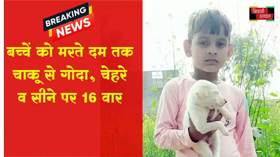 &nbsp;बच्चे को मरते दम तक चाकू से गोदा, सीने-चेहरे पर 16 निशान&nbsp;