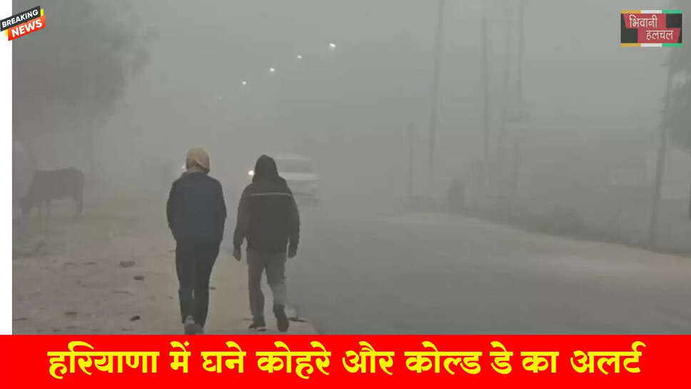 हरियाणा में घने कोहरे और कोल्ड-डे का अलर्ट