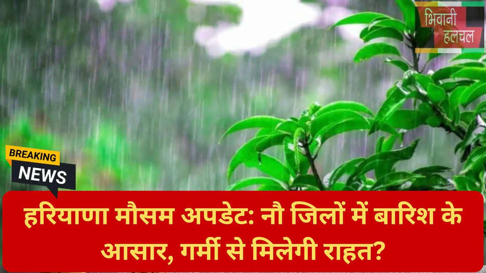 बारिश और उमस हरियाणा