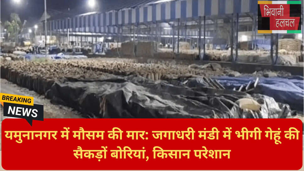 किसान समाचार यमुनानगर